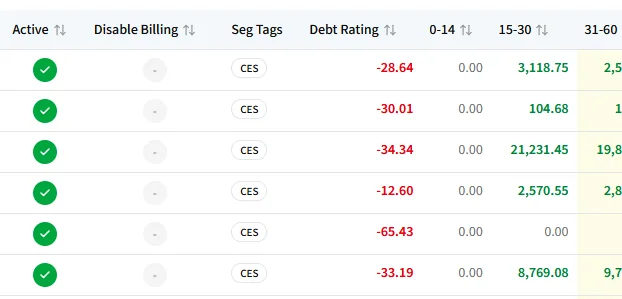 The Seg Tags column on the accounts index, with a CES segmentation tag against each account beside its active status, debt rating and aged balances